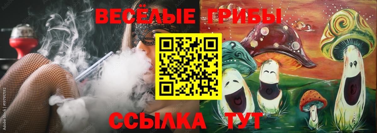 Киржач  Псилоцибиновые грибы мухоморы  Вход с VPN 